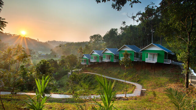 The Arbour Resort, Munnar