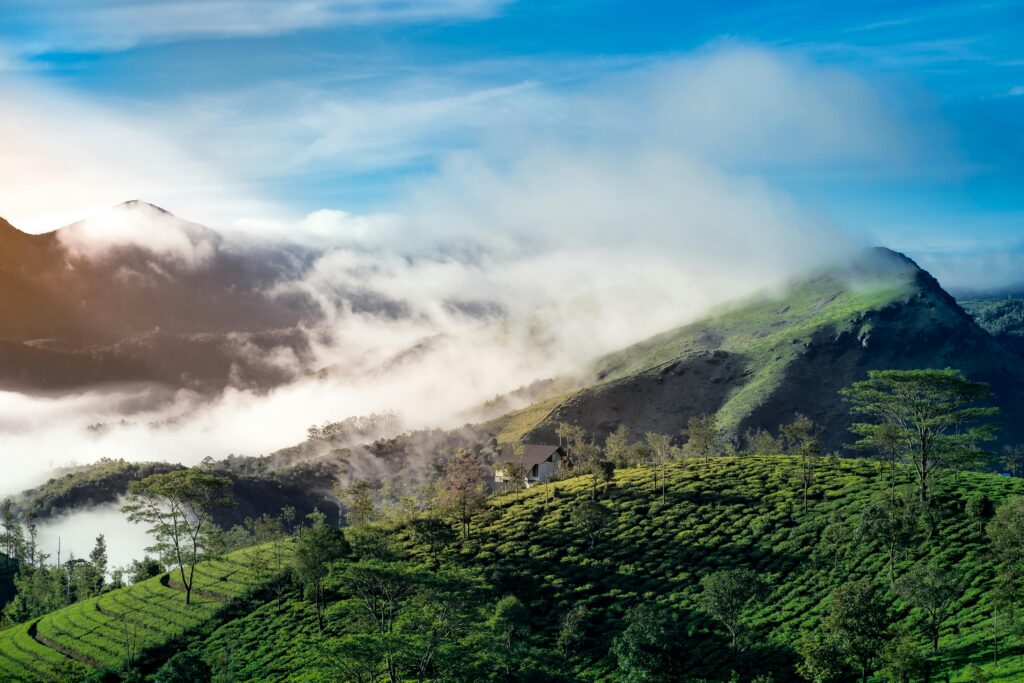 best time to visit Munnar