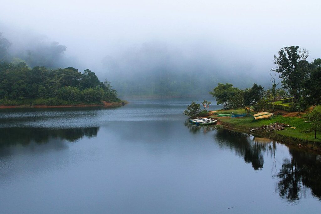 Gavi, kerala