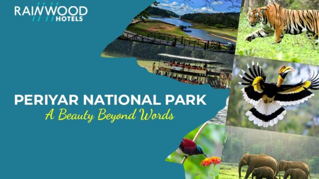 periyar national park