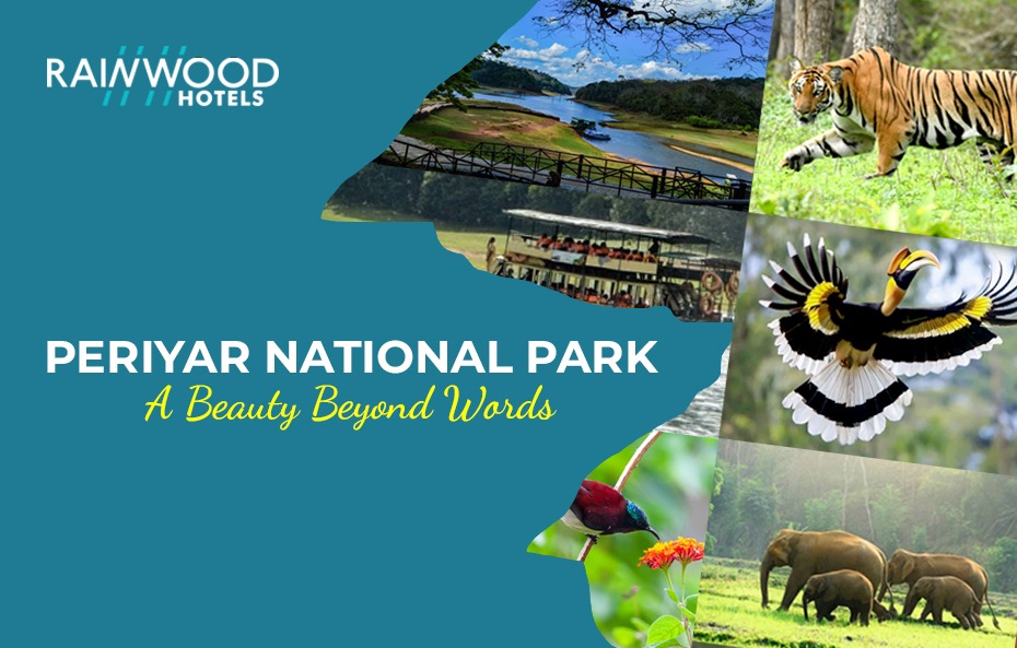 PERIYAR NATIONAL PARK-BEAUTY BEYOND WORDS