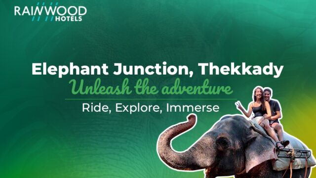 Elephant Junction Thekkady