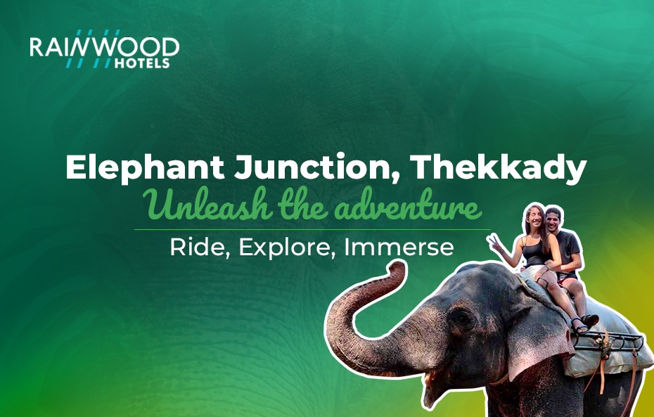 Elephant Junction Thekkady: Unleash the adventure: Ride, Explore, Immerse