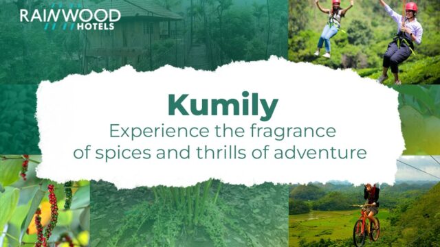 Kumily tourist places