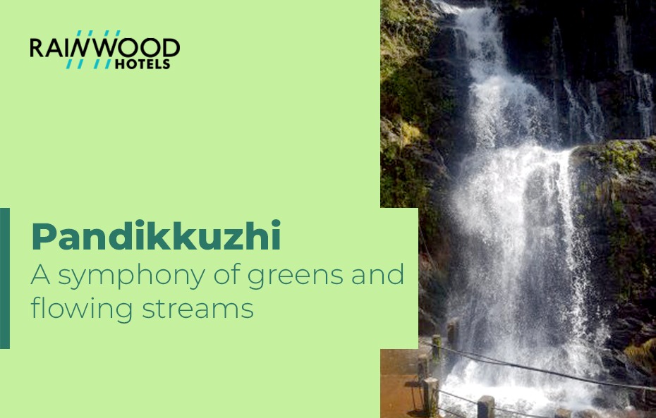 Thekkady Tourist Place – Pandikkuzhi | A symphony of greens and flowing streams