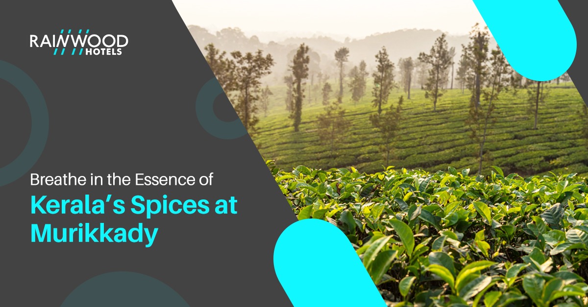 Breathe in the Essence of Kerala’s Spices at Murikkady