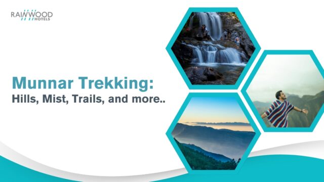 Trekking in munnar