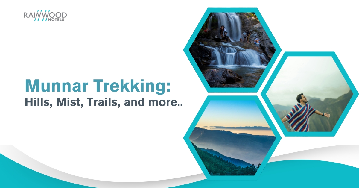 Trekking in Munnar : Hills, Mist, Trails, and more