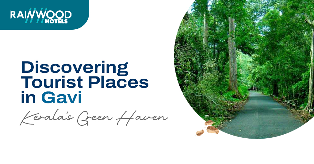 Discovering Tourist Places in Gavi, Kerala’s Green Haven