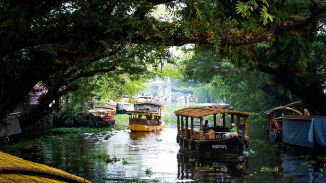 Insightful Sightseeing Adventures