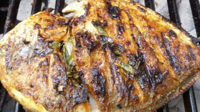 Savor Flavors at our Barbecue Sessions