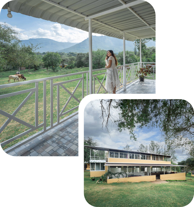 Wild Forest Jungle Resort, Masanagudi