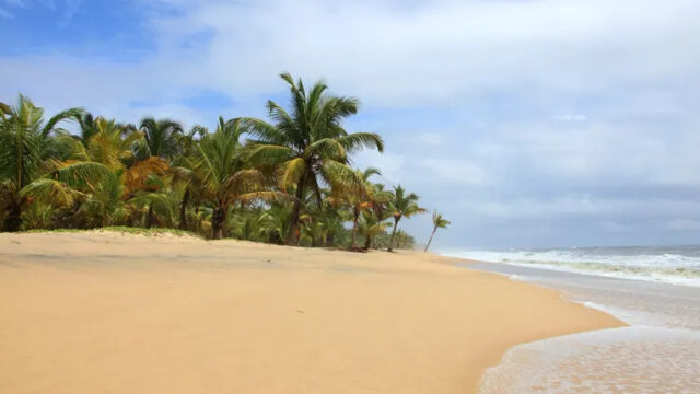 Marari Beach
