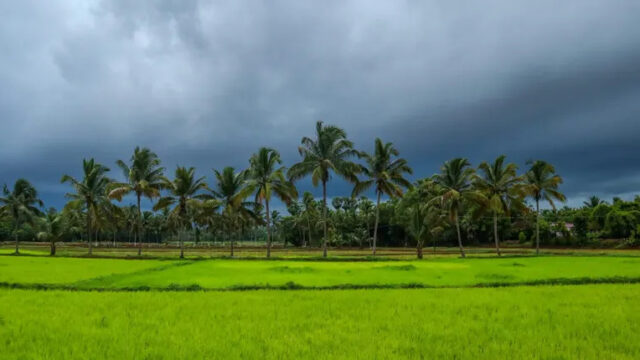 Kuttanad – The Rice Bowl of Kerala