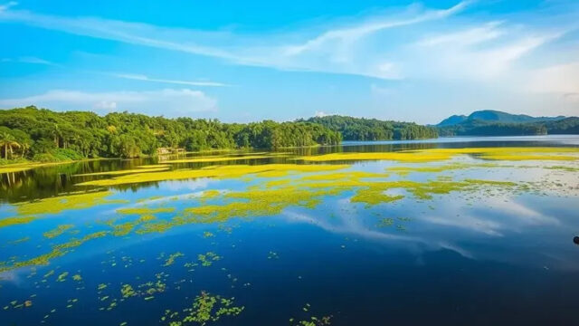 Punnamada Lake