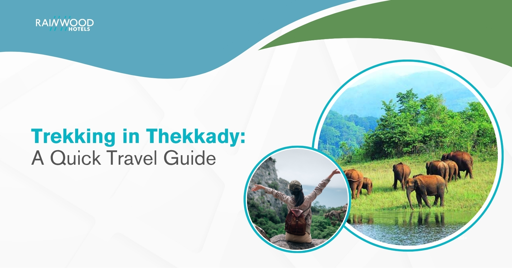 Trekking in Thekkady: A Quick Travel Guide