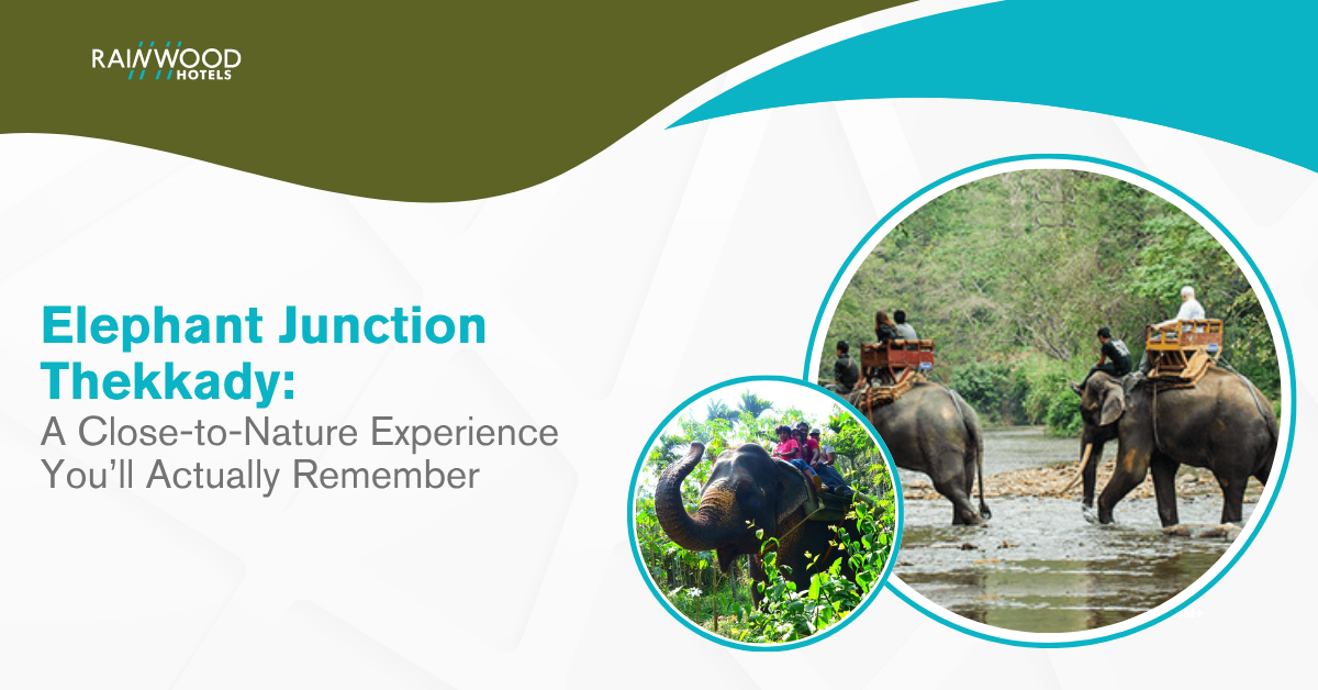 Elephant Junction Thekkady: A Close-to-Nature Experience You’ll Actually Remember