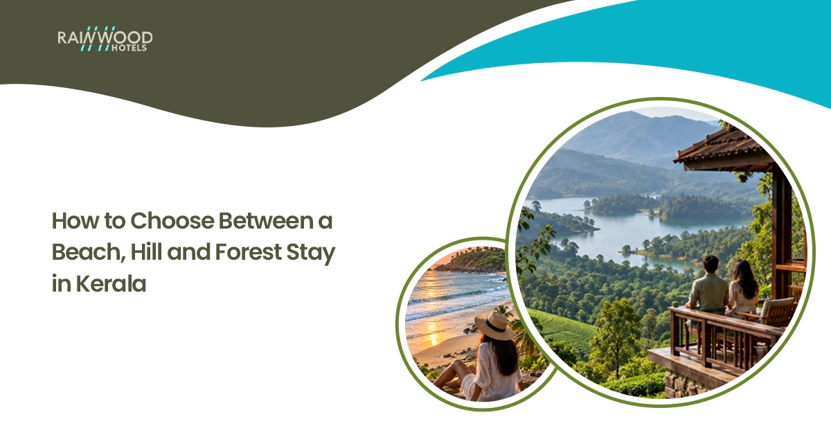 How to Choose Between a Beach, Hill and Forest Stay in Kerala
